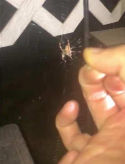 Bad design, literally a one shot devs need to nerf this