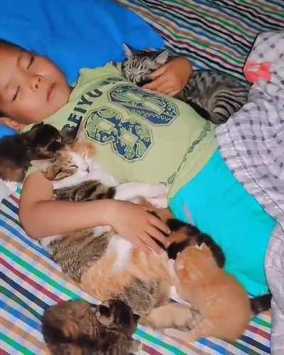 Is that where they've been