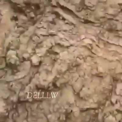 Tale as old as time...