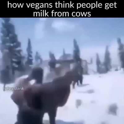 vegan