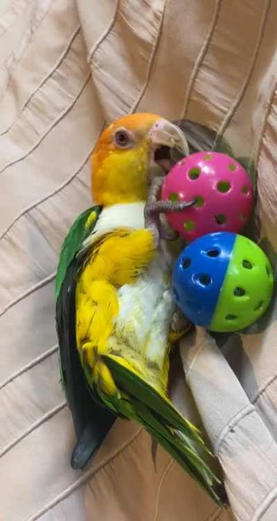 Would just assume some people would like to see Buffy slaying