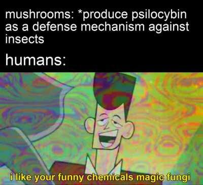 ah yes, shrooms