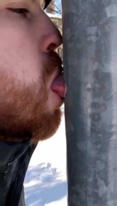 frozen pole > tongue