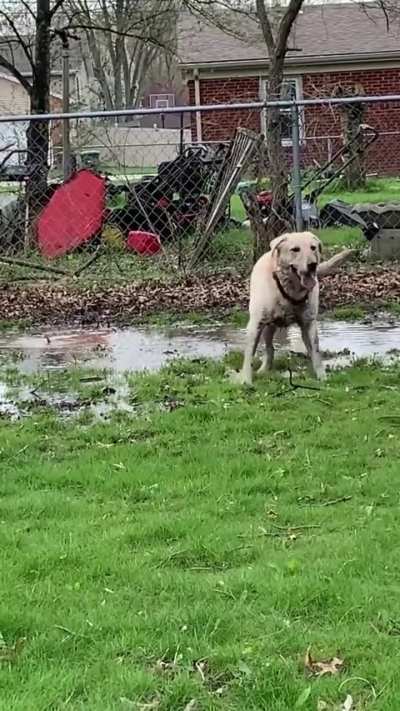 He took his chance and ran with it 🤣