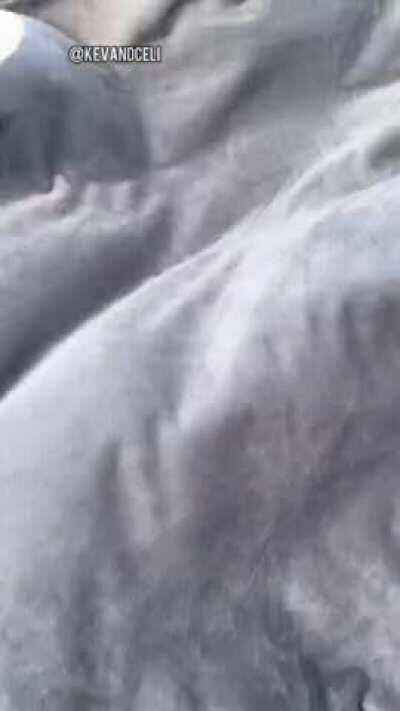 Choose your favorite and write it in the comments, let's see which one wins 😋