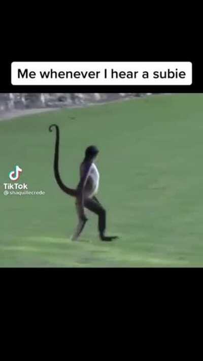 Accurate representation of when I hear a Subie