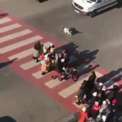 Don't you dare move!