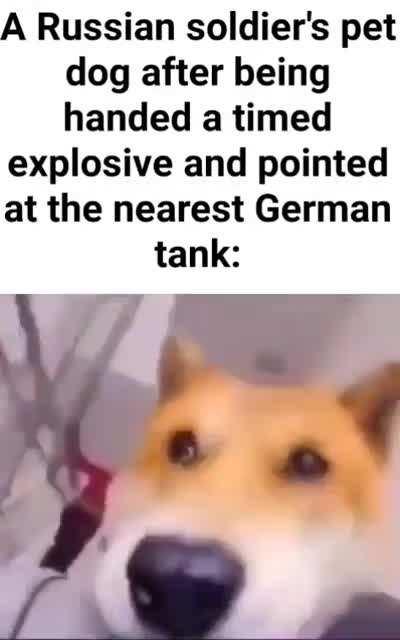 Truly the most credible tactic in all of ww2