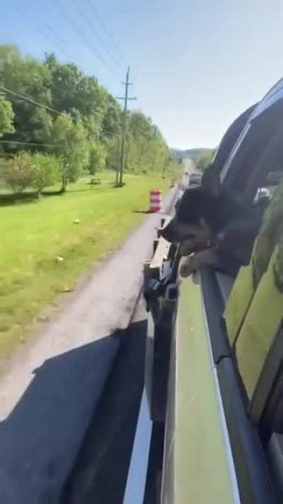 woof woof woof woof woof woof woof woof