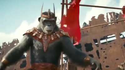 Sapiencia do king kong