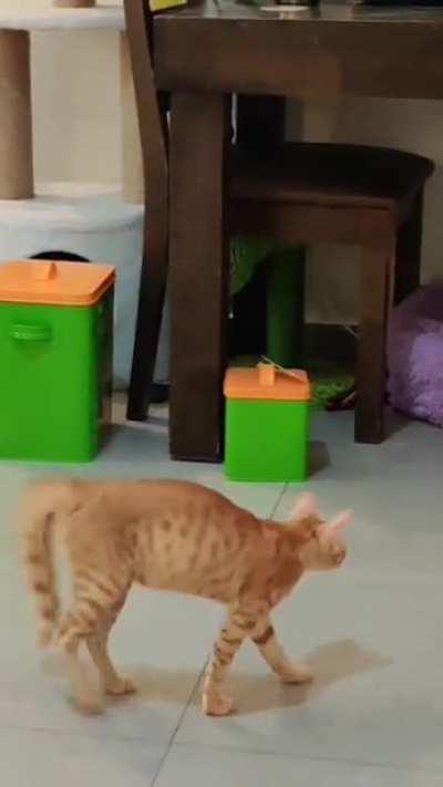 I have a phobia that someone's always there...