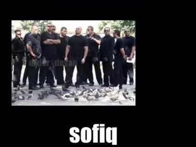 top 5 bulgarian cities