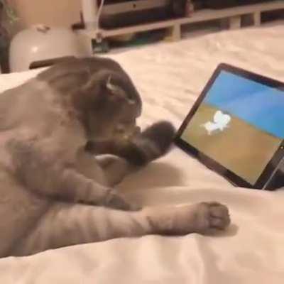 I like cartoons 😄😄😄