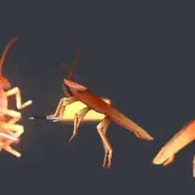 Darth Roach, and his eternal foes.