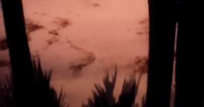 The Beach or the Mountains? - Kaguya-sama: Love is War