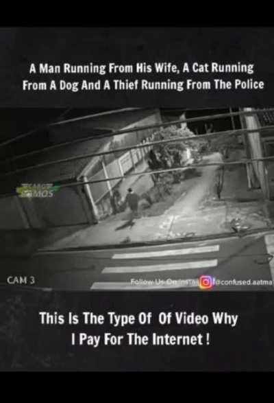 Secret life of Pets, Money heist, and White Chicks in one video.