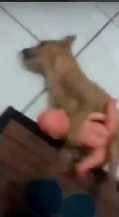 🤙🏿🤙🏿🤙🏿