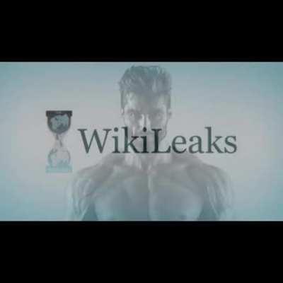 discordVideos - Video #8286