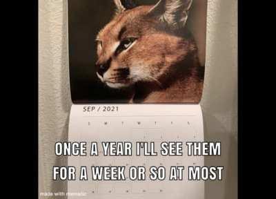 Favorite song and favorite big guy