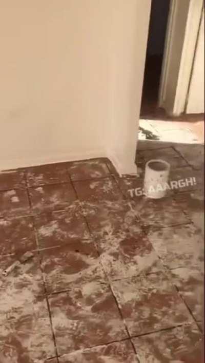 WCGW putting explosive in paint bucket to paint house