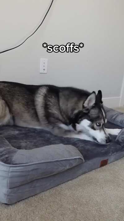 HMK, someone stole me bed!! 😡