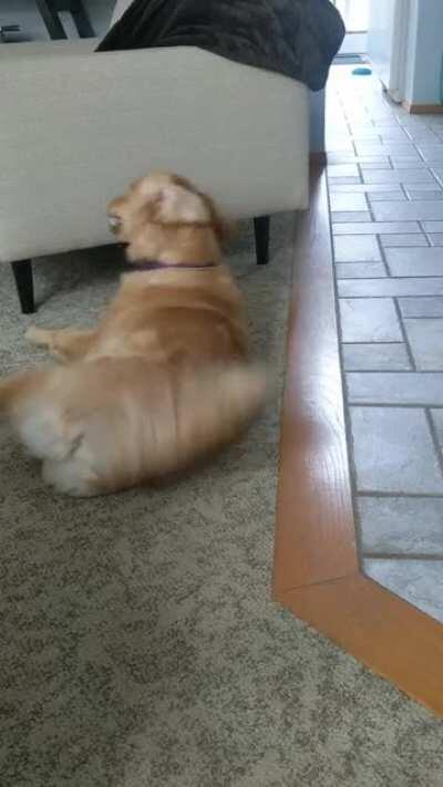 A moment in the life of Maggie