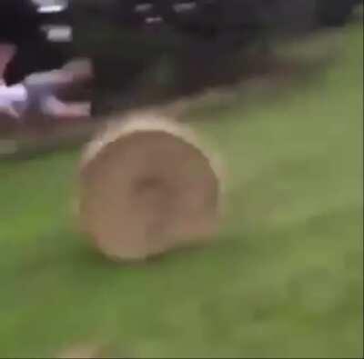 Trying to hurdle the rolling hay