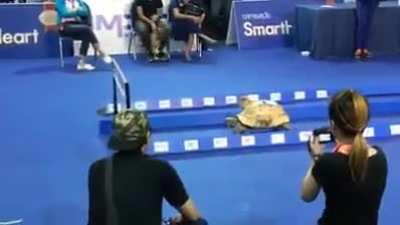 Como o Cellbit disse 