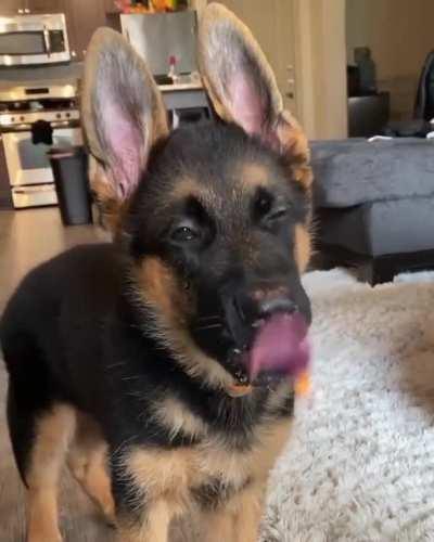 He Ate Butter And Now He Does This