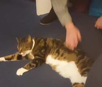 He's a big muscley boy, with a soft pouch