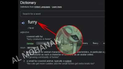 no way they said the thing!!!