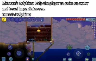 Dolphins are op