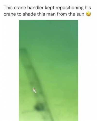 Haven’t seen it here either