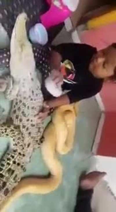 Gotta powder my croc