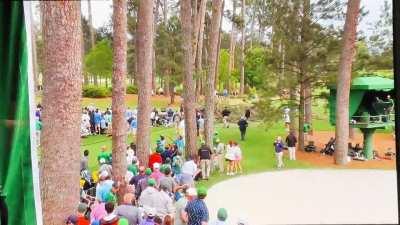 Tree falling at the Masters