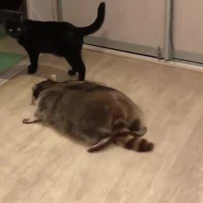 I am the ground. Sneak attack 100.