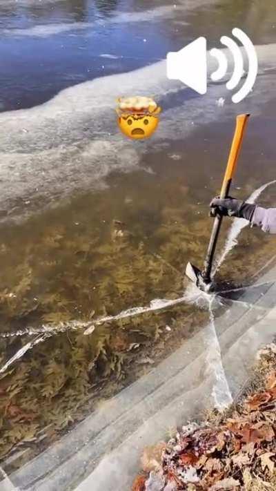 Since everyone is breaking the ice here one big one.