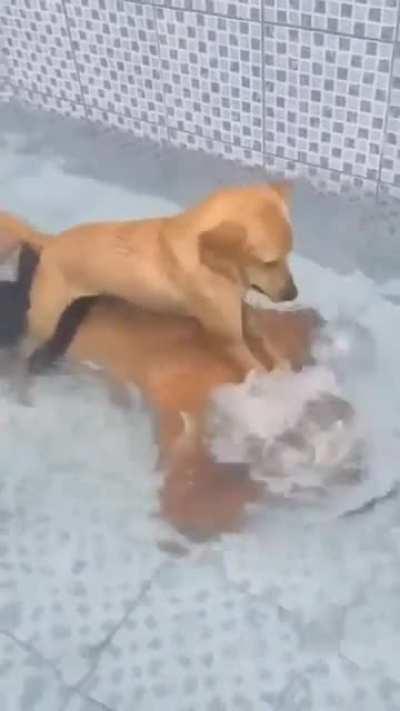 YoU'Ll nEVeR sERve ME pRocESsed FOoD AGain.