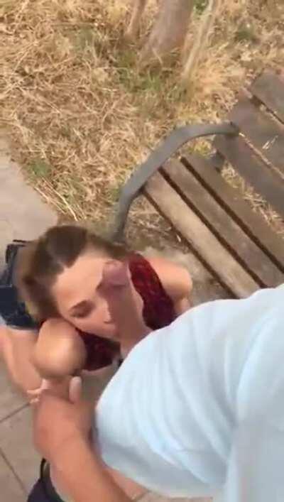 Public Blowjob In The Park