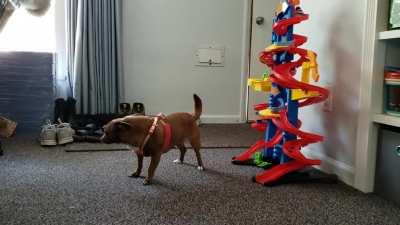 Harness.exe always crashes the system.