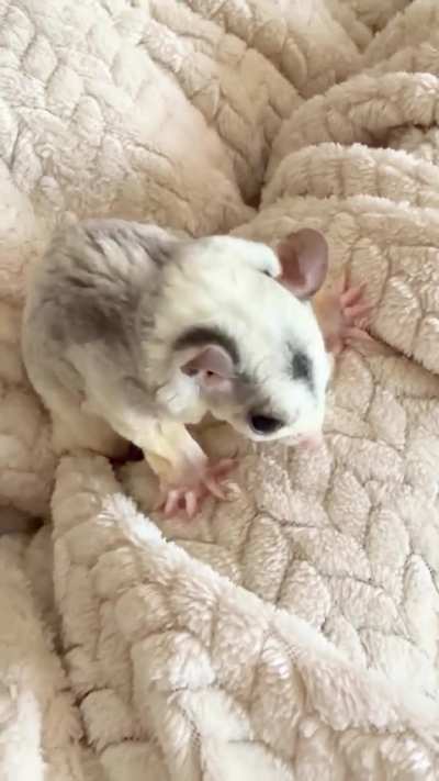 Please help. What is wrong with my baby?