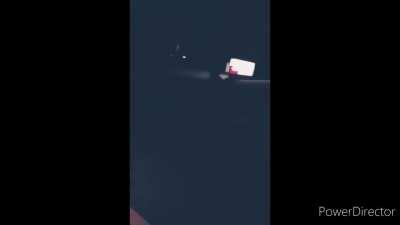 Everyone gangsta till the full moon boss pulls up