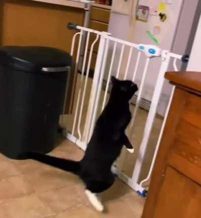 Come on my dude u can do it