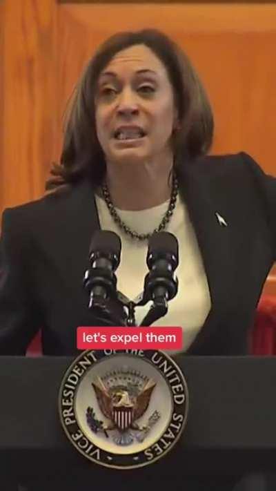 Kamala Harris gives an impassioned speech in support of two Black lawmakers who were removed from office.