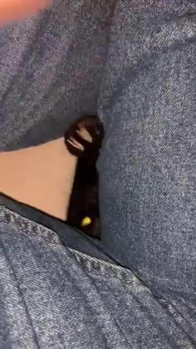 The time to strike is now!