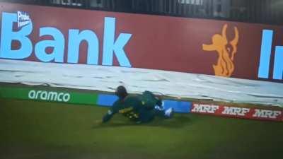 Sums up Bavuma's contribution to SA's success in WC 2023