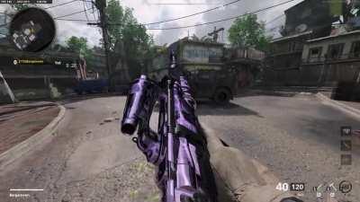 Both Season 5 weapons w/ DM Ultra (Looking pretty nice)