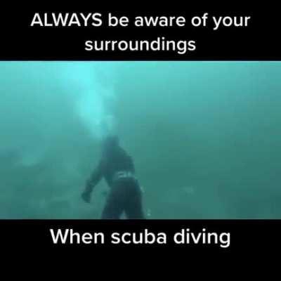 I find it so interesting to see how easily these creatures can completely disappear from view