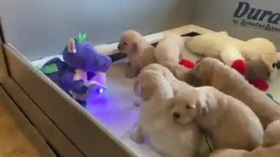 Сейчас у меня треснет от умиления