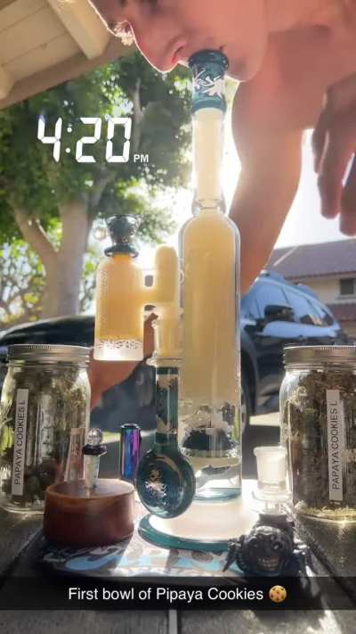 First bowl of the new grow 